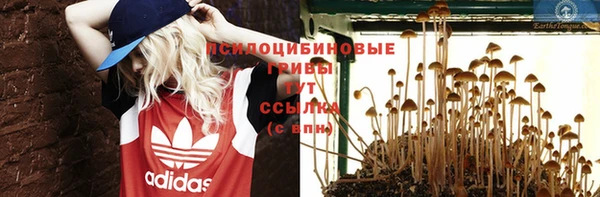 спиды Алексеевка