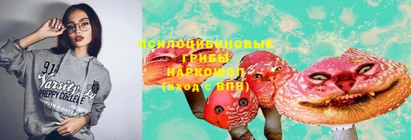 дмт Алексин
