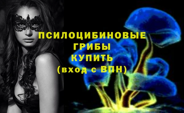 a pvp Алзамай
