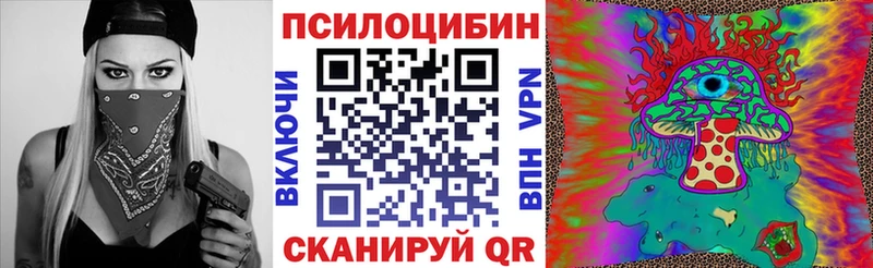 Псилоцибиновые грибы Psilocybine cubensis  где купить   Нижнеудинск 